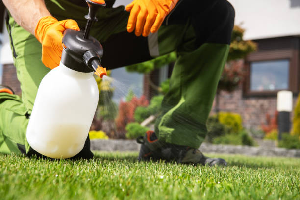 Best Local Pest Control Services  in Milam, TX