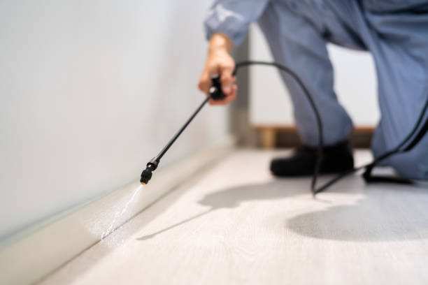 Best Best Pest Control Companies  in Milam, TX