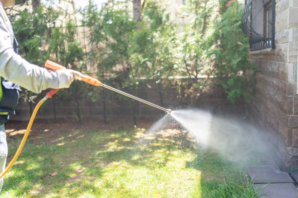 Best Rodent Control Near Me  in Milam, TX
