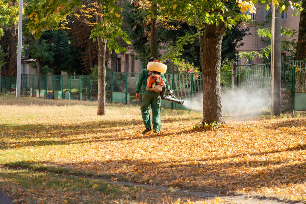 Best Pest Removal Services  in Milam, TX