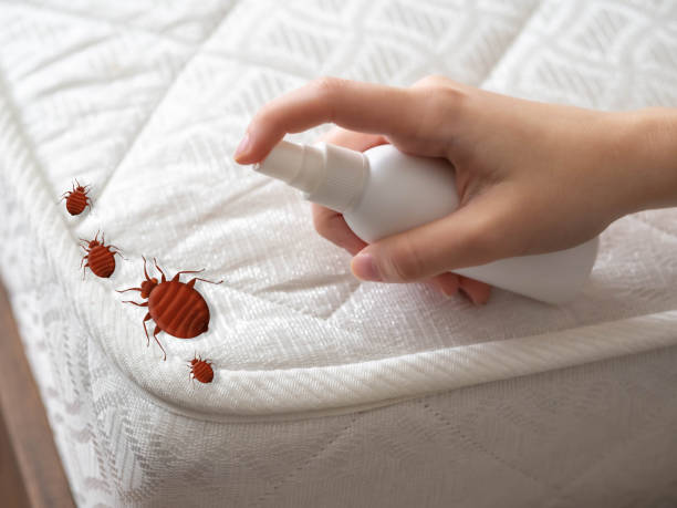 Best Bed Bug Extermination  in Milam, TX