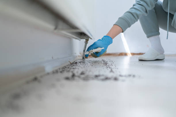 Best Pest Control for Homes  in Milam, TX